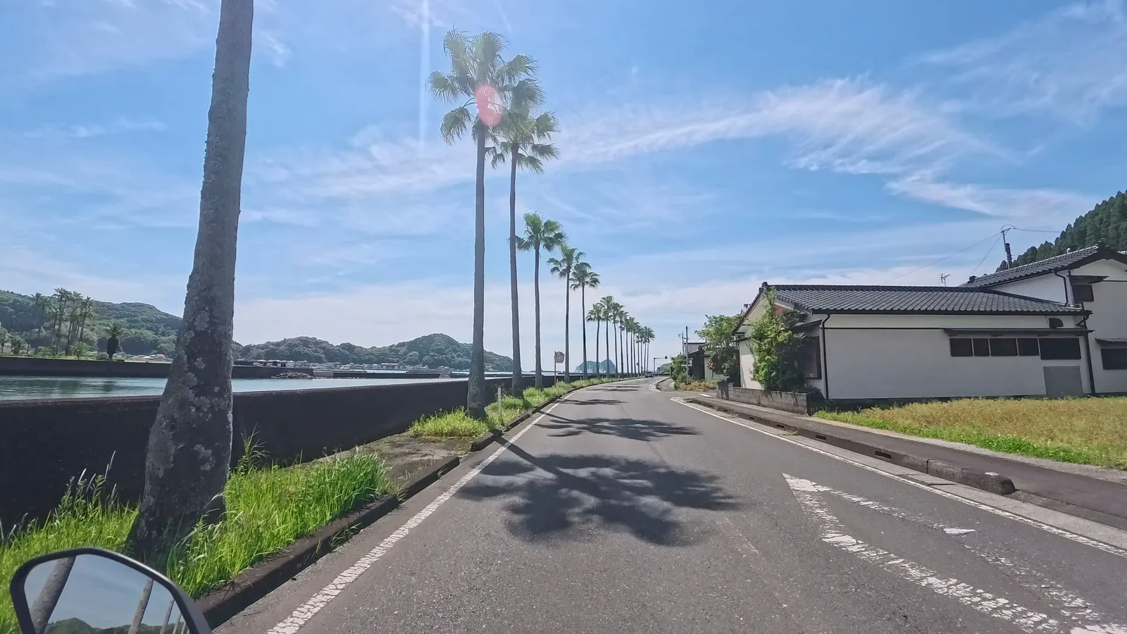 日南フェニックスロード